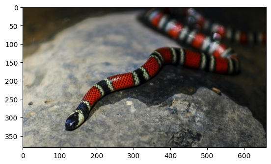 <Figure size 640x480 with 1 Axes>