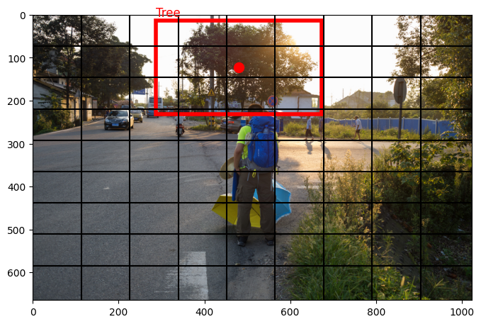 <Figure size 800x800 with 1 Axes>