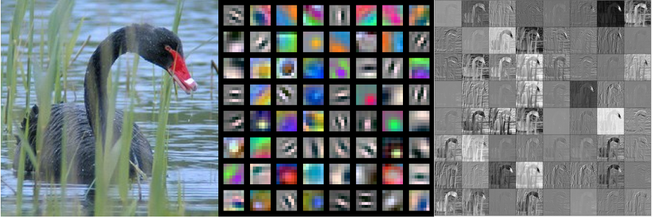 <IPython.core.display.Image object>